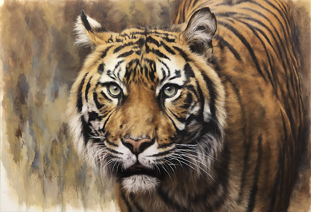 Jules Kesby animal artworks, Tiger, Oil on linen